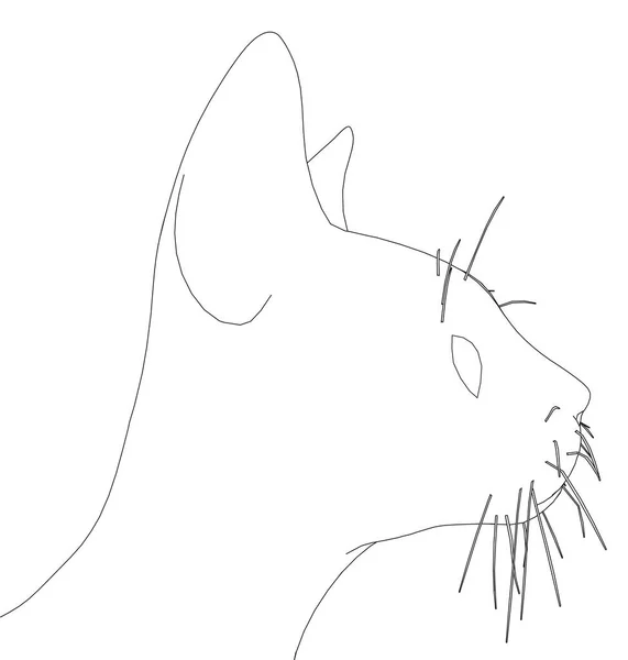 Kepala kucing kontur dari garis hitam terisolasi pada latar belakang putih. Sisi tampilan. Ilustrasi vektor - Stok Vektor