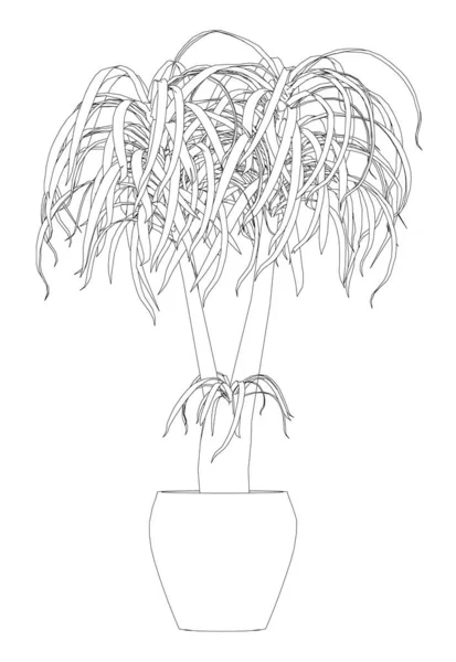 Kontur av blommor i en kruka med svarta linjer isolerad på en vit bakgrund. Vektorillustration — Stock vektor