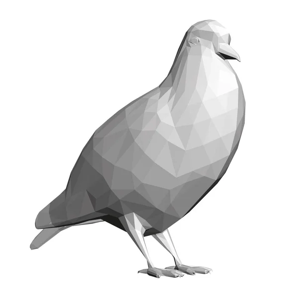 Pigeon gris low poly isolé sur fond blanc. 3D. Illustration vectorielle — Image vectorielle