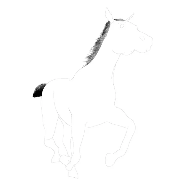 Contour d'un cheval galopant à partir de lignes noires isolées sur fond blanc. Vue en perspective. Illustration vectorielle — Image vectorielle