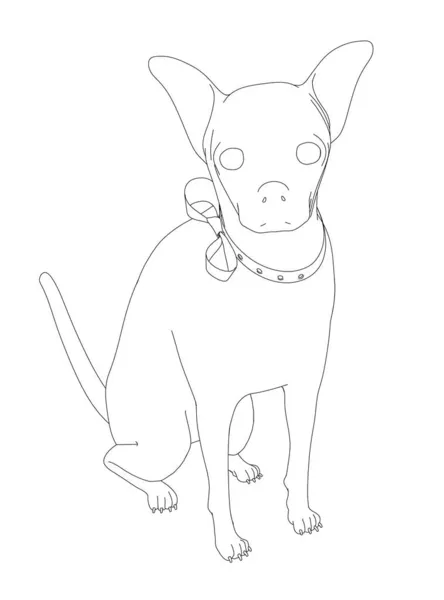 Contorno de um cão sentado de linhas pretas isoladas em um fundo branco. Ilustração vetorial —  Vetores de Stock