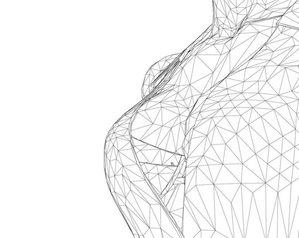 Wireframe ενός χαριτωμένου γυναικείου στήθους σε ένα σουτιέν και ένα κοστούμι από μαύρες γραμμές που απομονώνονται σε λευκό φόντο. 3D. Εικονογράφηση διανύσματος — Διανυσματικό Αρχείο