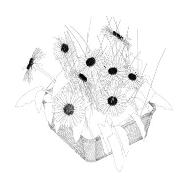 Beyaz arka planda izole edilmiş siyah çizgilerden oluşan bir sepetin içindeki çiçekler. Papatya çayı sepeti içinde papatya çayı. Vektör illüstrasyonu