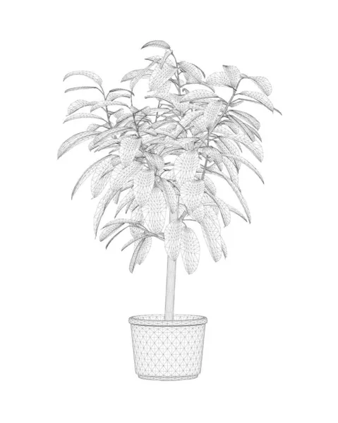 Wireframe домашний цветок с длинным стеблем и листья в горшке изолированы на белом фоне. 3D. Векторная иллюстрация — стоковый вектор