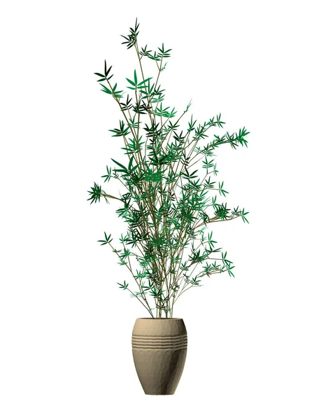 Domácí květ s dlouhým stonkem a zelené listy izolované na bílém pozadí. 3D. Vektorová ilustrace — Stockový vektor