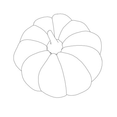 Beyaz arka planda izole edilmiş siyah çizgilerden kabak hatları. Vektör illüstrasyonu