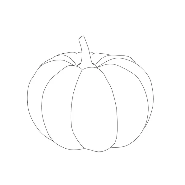 Pumpkin kontur dari garis hitam terisolasi pada latar belakang putih. Ilustrasi vektor - Stok Vektor