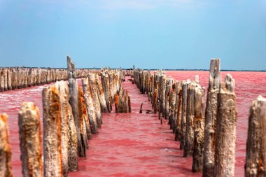 Egzotik pembe tuz gölü ve bulutlu mavi gökyüzü. Yüksek kalite fotoğraf