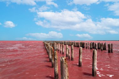 Egzotik pembe tuz gölü ve bulutlu mavi gökyüzü. Yüksek kalite fotoğraf