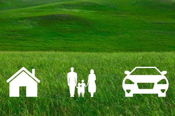 Белые Иконы Различных Видов Страхования Фоне Зеленой Травы Страхование Жизни — стоковое фото