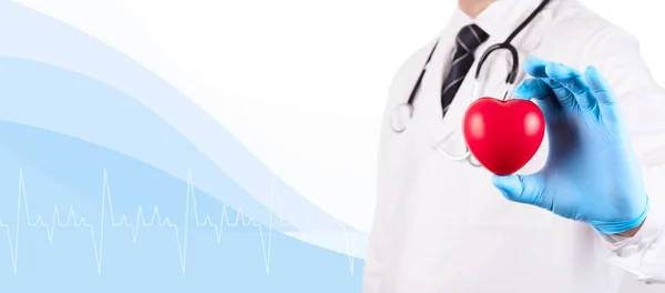 Médico Cardiólogo Con Estetoscopio Sostiene Corazón Rojo Mano Como Símbolo —  Fotos de Stock