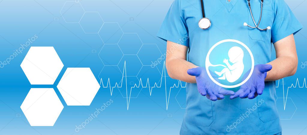 In the hands of a gynecologist, an embryo icon, as a symbol of conception and in vitro fertilization. Copy space. High quality photo