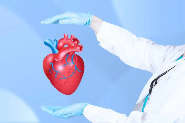 Kardiolog Stetoskopem Podporuje Chrání Rukama Realistické Červené Srdce Jako Symbol — Stock fotografie