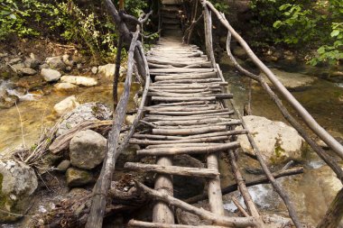 Dağlık bir nehrin üzerindeki harap bir köprünün ahşap döşemesi yaz ormanlarındaki ekolojik bir patikada. Yüksek kalite fotoğraf