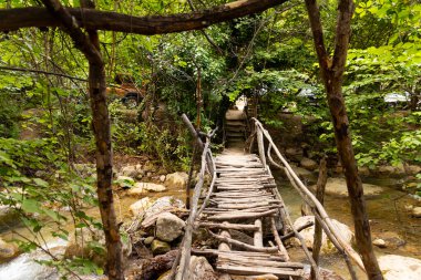 Dağlık bir nehrin üzerindeki harap bir köprünün ahşap döşemesi yaz ormanlarındaki ekolojik bir patikada. Yüksek kalite fotoğraf