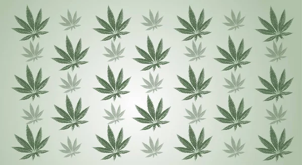 Green Leaves Marijuana Cannabis Leaves Green Gradient Background Copy Space — Vetor de Stock