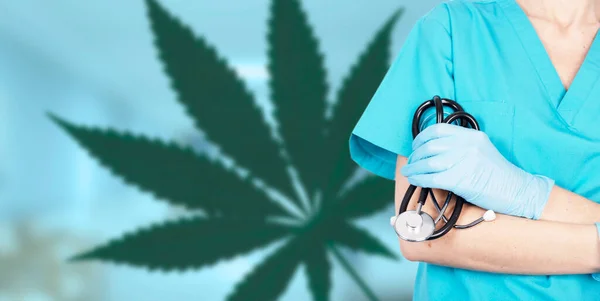 Cannabis Therapy Doctor Woman Medical Gloves Stethoscope Background Leaf Marijuana — Fotografia de Stock