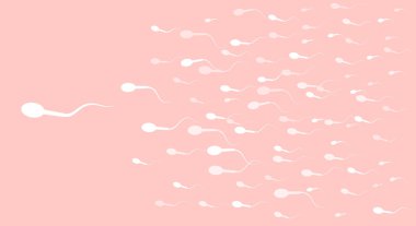 The spermatozoon has shot forward and is heading straight towards the target, pink background. 