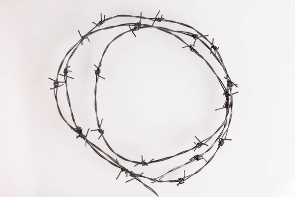 Barbed wire on a white background. Close-up, with sharp spikes arranged in a circle. copy space. High quality photo