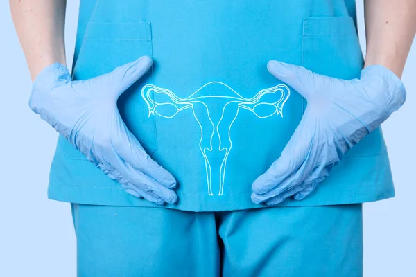Tıbbi üniformalı bir doktor jinekolog ve bir kadının üreme sisteminin maketi, rahim kemiği seviyesinde bir kadının leğen kemiği. Kadın sağlığı konsepti. Yüksek kalite fotoğraf