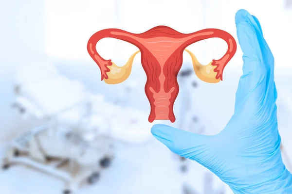 Hands Doctor Gynecologist Gloves Hold Icon Uterus Symbol Women Health — Stock Photo, Image