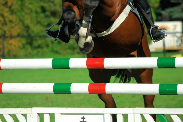 Hoppning häst — Stockfoto