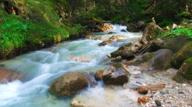 akan suyun içinde orman, south tyrol, İtalya
