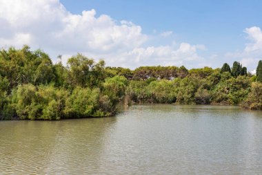 Suyun içinde yansıyan bulutlarla çevrili bir gölet manzarası.
