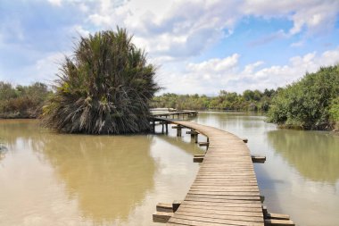 Suyun içinde yansıyan bulutlarla çevrili bir gölet manzarası.