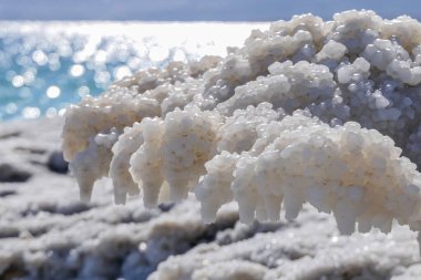 Ölü Deniz 'in tuz kristalleri yakın planda.