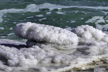 Ölü Deniz kıyısındaki bir kayanın üzerindeki kristal tuz. İsrail