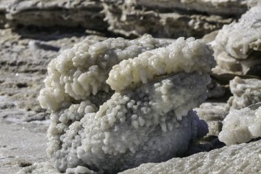Ölü Deniz 'in yuvarlak tuz kristalleri güneş ışınlarına yakın çekim yapıyor. İsrail