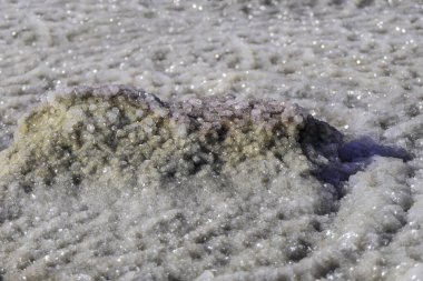 Ölü Deniz 'in yuvarlak tuz kristalleri güneş ışınlarına yakın çekim yapıyor. İsrail