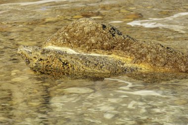 Ölü Deniz 'in yuvarlak tuz kristalleri güneş ışınlarına yakın çekim yapıyor. İsrail