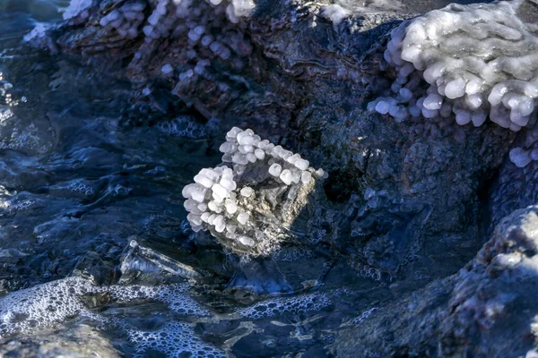 Ölü Deniz mineral tuz kristallerinin yakın görüntüsü. Seçici odaklanma. İsrail