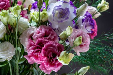 Çok renkli Prairie Gentian Lisianthus Eustoma çiçek buketi