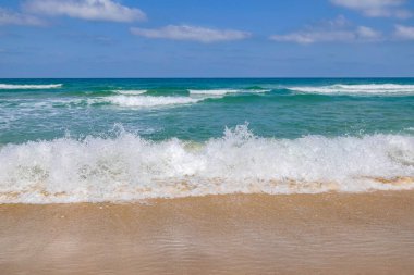Foam and splashes on coastal waves. Sandy beach of the Mediterranean Sea. Israel