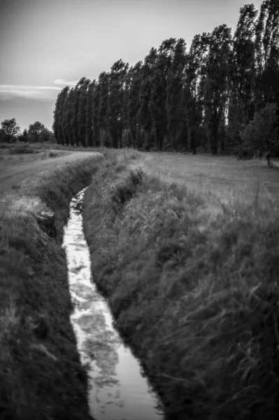 Landschap — Stockfoto