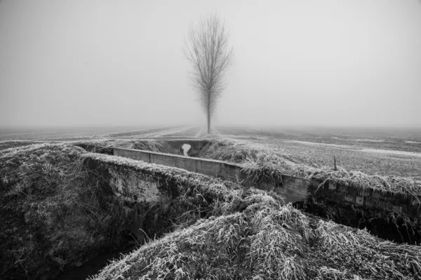 Paisaje invierno — Foto de Stock