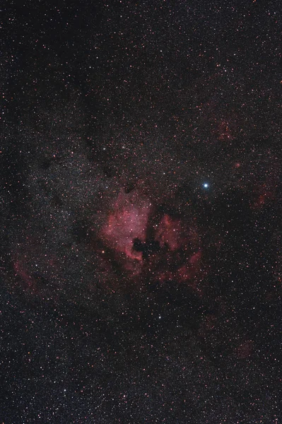 Nebulosa de Norteamérica — Foto de Stock