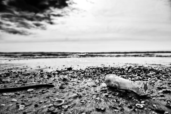 Desolation of winter sea — Stock Photo, Image