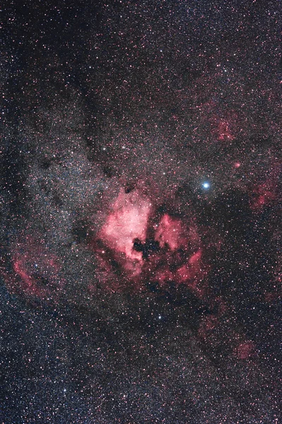 Nebulosa da América do Norte — Fotografia de Stock