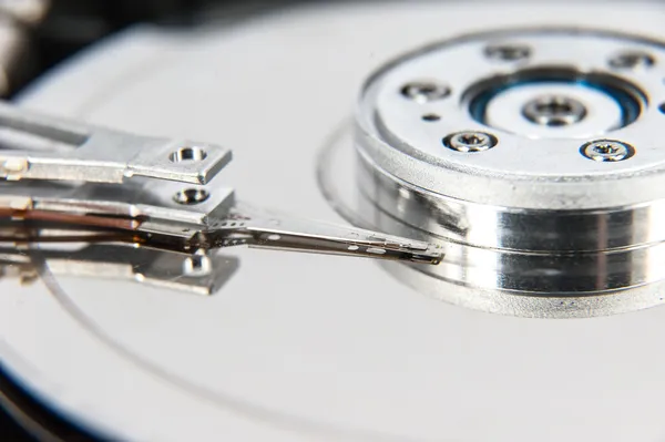 Disk