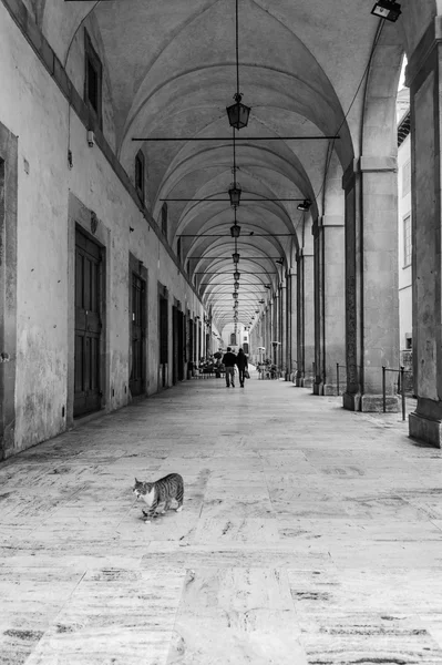 Mittelalterliches Italienisch — Stockfoto