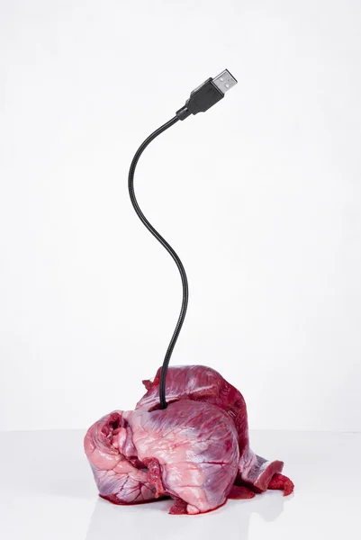 Coeur avec câble USB — Photo