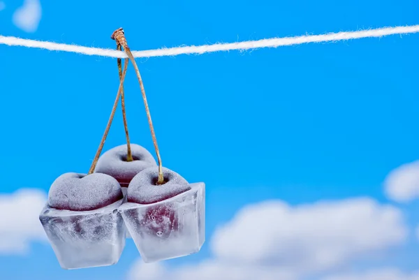 Cherries in ice cubes — Stock Photo, Image