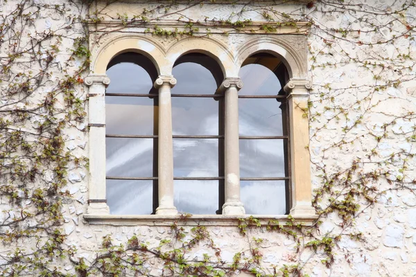 Middeleeuwse venster — Stockfoto