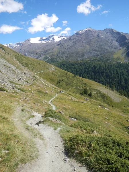 Alpine wandelweg — Stockfoto