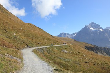 Jungfrau hiking trail