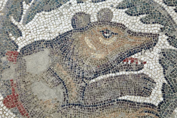 Starověké medvěd mozaiková podlaha villa romana del casale, Itálie — Stock fotografie